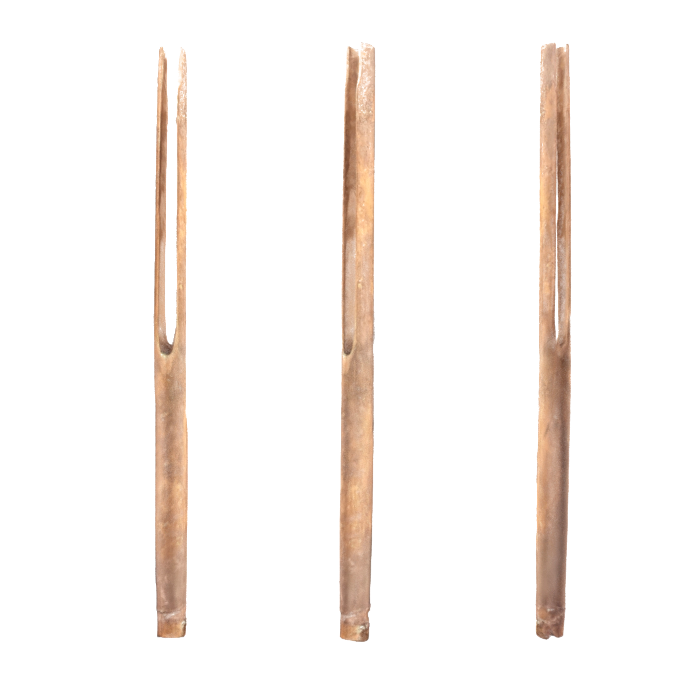 Tungkawir — frame from the 3D capture
